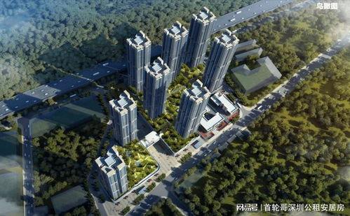 云城s11最新爆料新闻,性能升级，外观革新，揭秘最新爆料细节