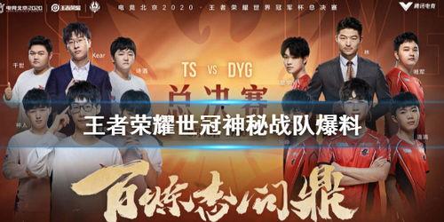 荣耀世冠最新爆料视频,精彩瞬间抢先看，揭秘新赛季精彩对决